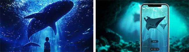 アクアクララとワンダリア横浜の世界観との親和性